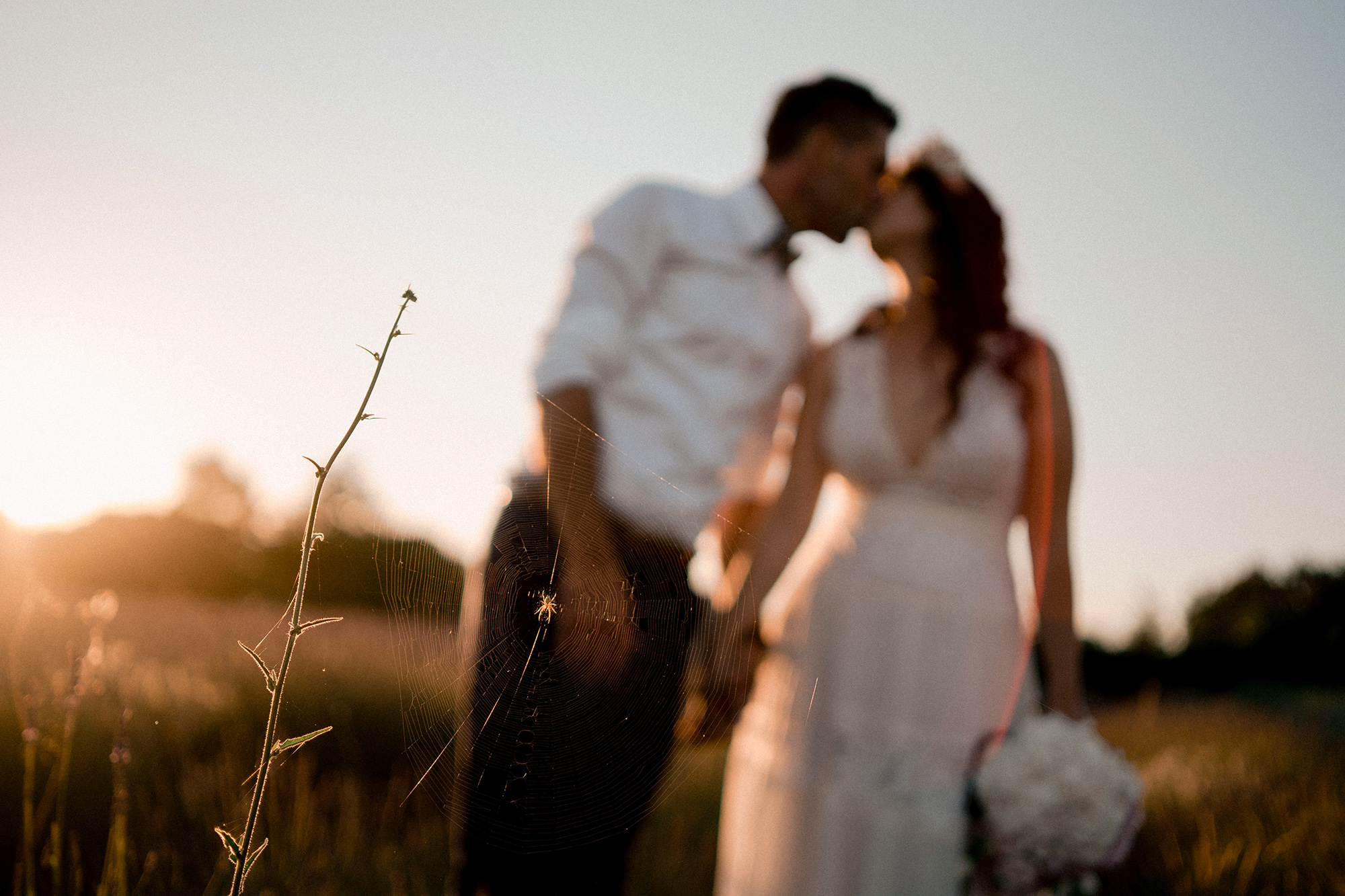 Marina & Toni wedding Grimani Castle Svetvinčenat Istria